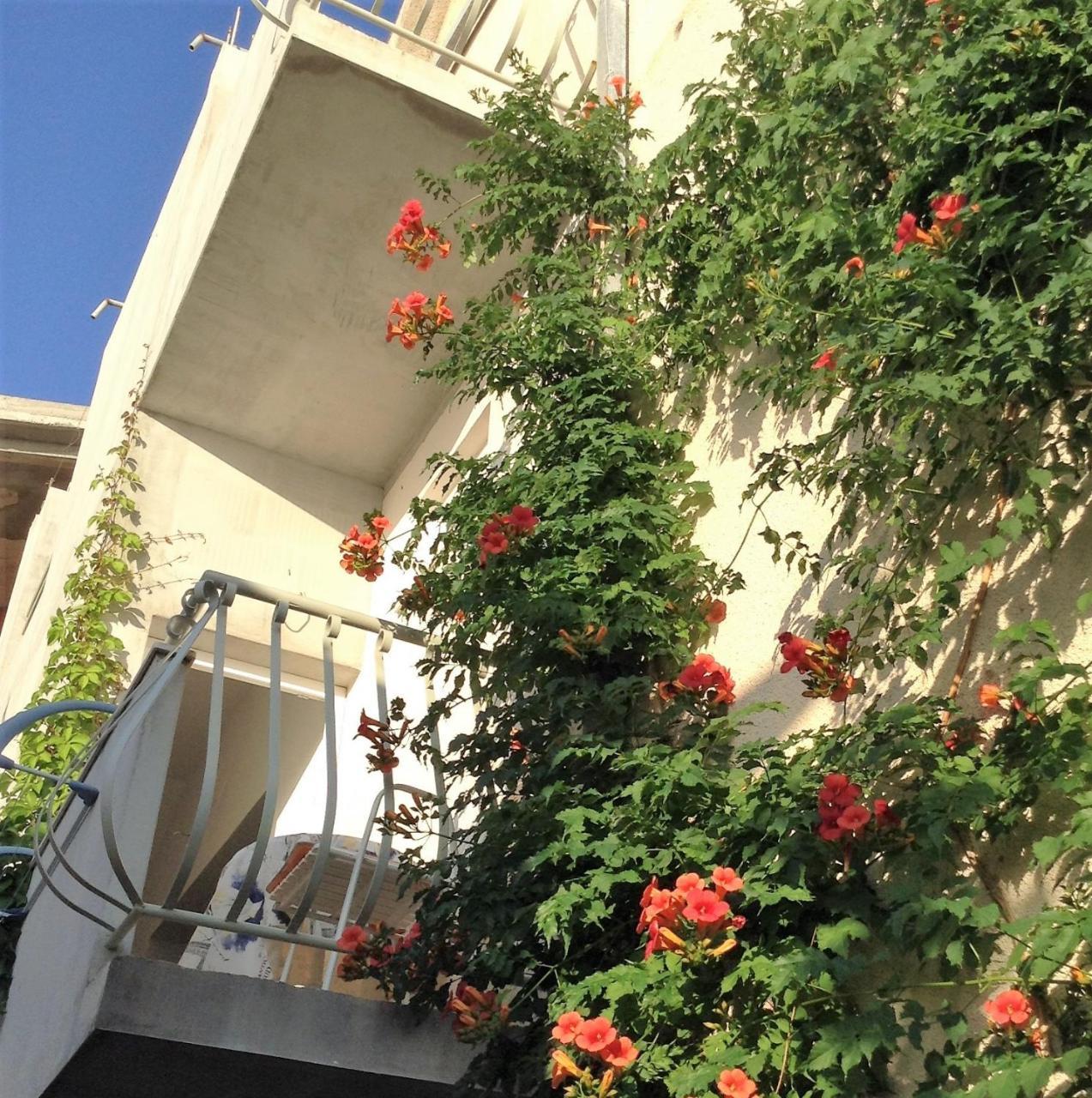 Apartments Leut Drašnice Zimmer foto